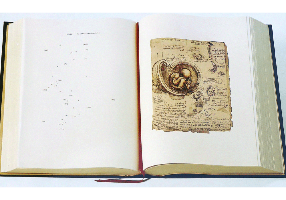 Quaderni dell'Anatomia. - Leonardo da Vinci - Abierto