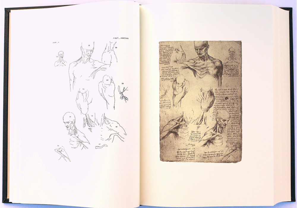 Codice dell'Anatomia. - Leonardo da Vinci - Abierto-2