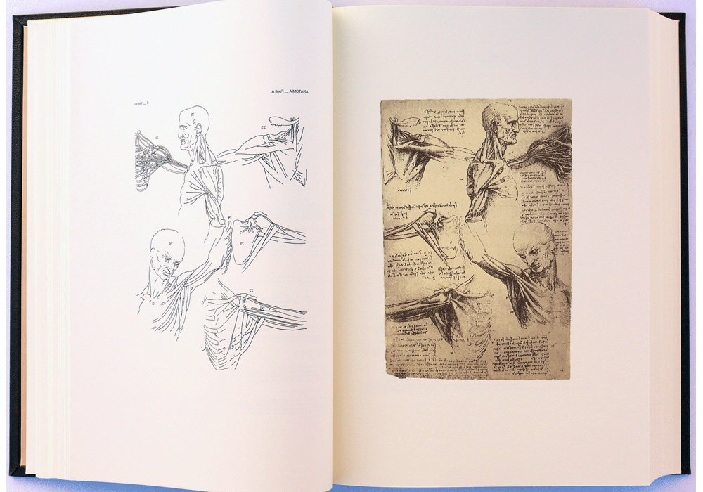 Codice dell'Anatomia. - Leonardo da Vinci - Abierto-3